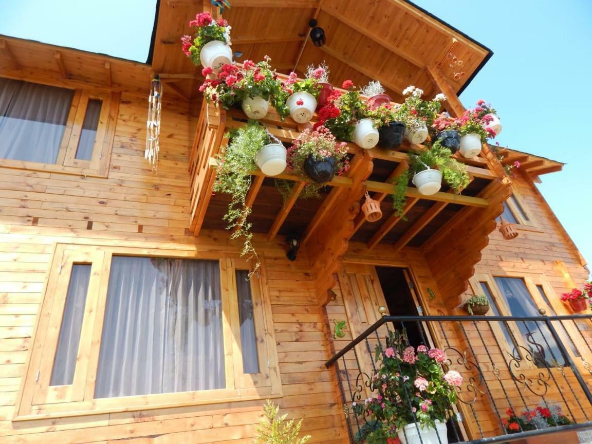 Villa Evelia Аквитания Экстерьер фото
